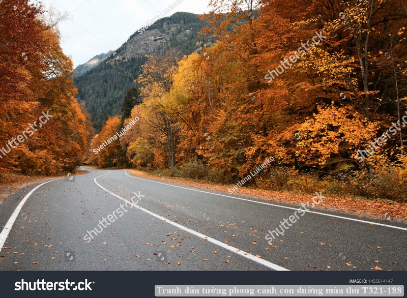 Tranh dán tường phong cảnh con đường mùa thu T321-188